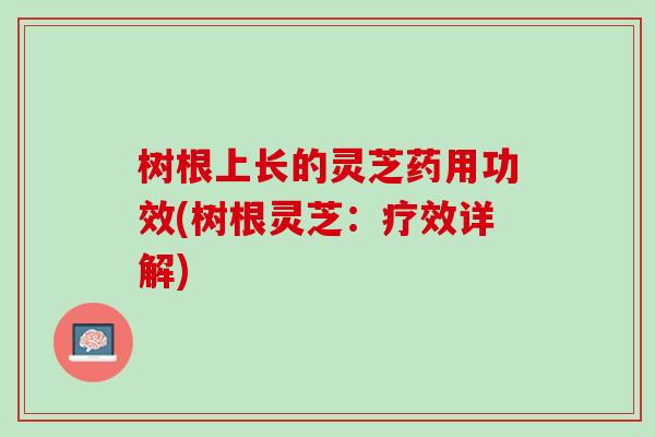 树根上长的灵芝药用功效(树根灵芝：疗效详解)