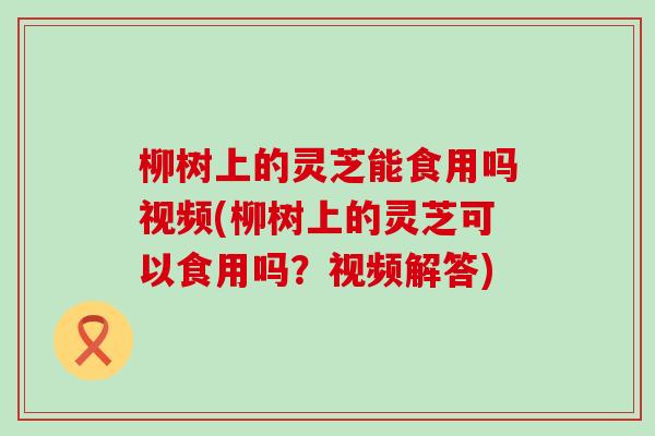 柳树上的灵芝能食用吗视频(柳树上的灵芝可以食用吗？视频解答)