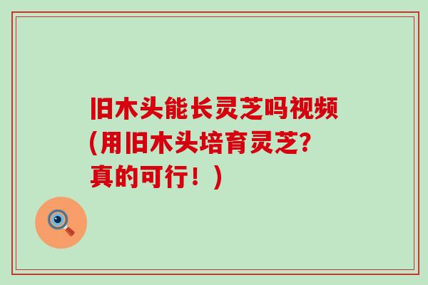 旧木头能长灵芝吗视频(用旧木头培育灵芝？真的可行！)