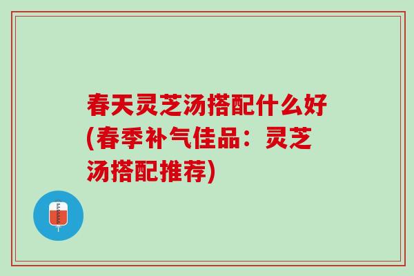春天灵芝汤搭配什么好(春季补气佳品：灵芝汤搭配推荐)