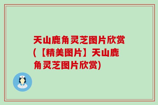 天山鹿角灵芝图片欣赏(【精美图片】天山鹿角灵芝图片欣赏)