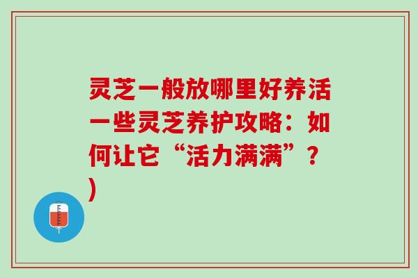 灵芝一般放哪里好养活一些灵芝养护攻略：如何让它“活力满满”？)