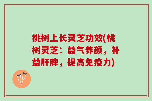桃树上长灵芝功效(桃树灵芝：益气养颜，补益脾，提高)