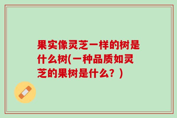 果实像灵芝一样的树是什么树(一种品质如灵芝的果树是什么？)