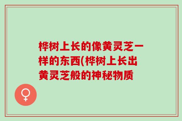 桦树上长的像黄灵芝一样的东西(桦树上长出黄灵芝般的神秘物质