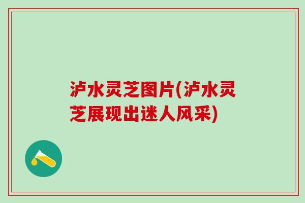 泸水灵芝图片(泸水灵芝展现出迷人风采) 泸水灵芝图片(泸水灵芝展现出迷人风采)