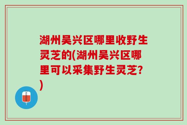 湖州吴兴区哪里收野生灵芝的(湖州吴兴区哪里可以采集野生灵芝？)