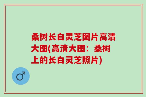 桑树长白灵芝图片高清大图(高清大图：桑树上的长白灵芝照片)
