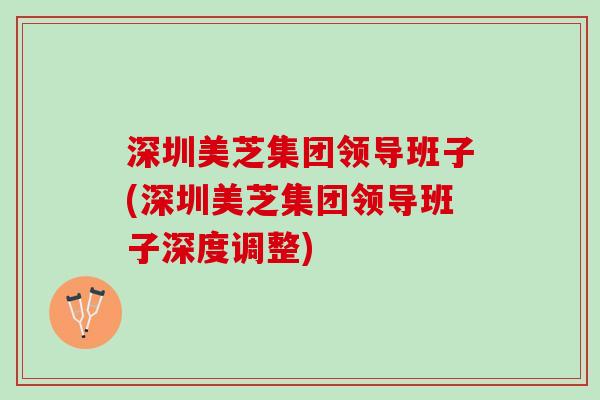 深圳美芝集团领导班子(深圳美芝集团领导班子深度调整)