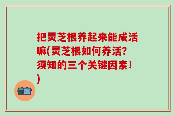 把灵芝根养起来能成活嘛(灵芝根如何养活？须知的三个关键因素！)