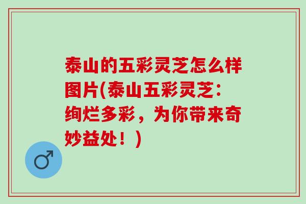 泰山的五彩灵芝怎么样图片(泰山五彩灵芝：绚烂多彩，为你带来奇妙益处！)