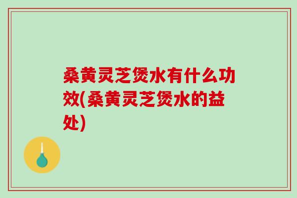 桑黄灵芝煲水有什么功效(桑黄灵芝煲水的益处)
