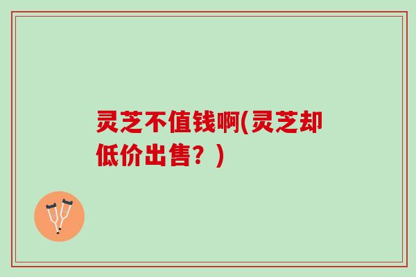 灵芝不值钱啊(灵芝却低价出售？)