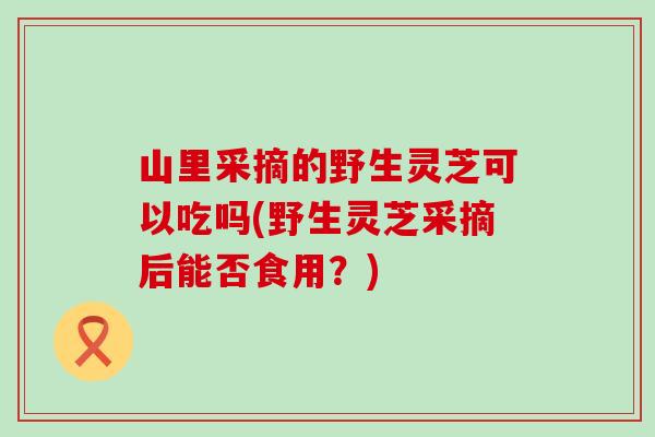 山里采摘的野生灵芝可以吃吗(野生灵芝采摘后能否食用？)