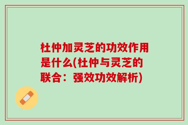 杜仲加灵芝的功效作用是什么(杜仲与灵芝的联合：强效功效解析)