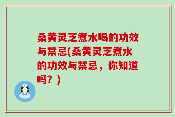 桑黄灵芝煮水喝的功效与禁忌(桑黄灵芝煮水的功效与禁忌，你知道吗？)