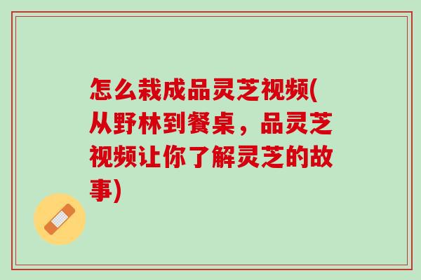怎么栽成品灵芝视频(从野林到餐桌，品灵芝视频让你了解灵芝的故事)