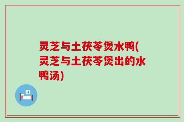 灵芝与土茯苓煲水鸭(灵芝与土茯苓煲出的水鸭汤)