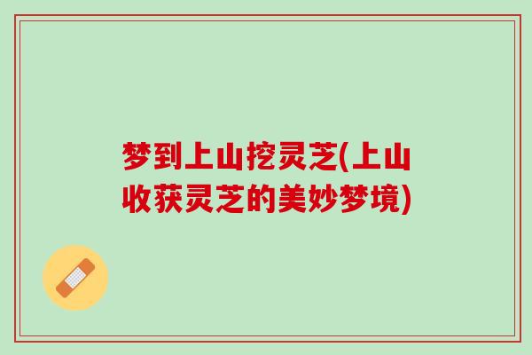 梦到上山挖灵芝(上山收获灵芝的美妙梦境)