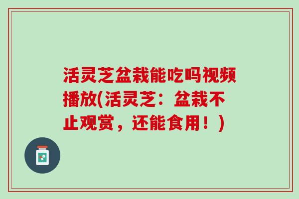 活灵芝盆栽能吃吗视频播放(活灵芝：盆栽不止观赏，还能食用！)
