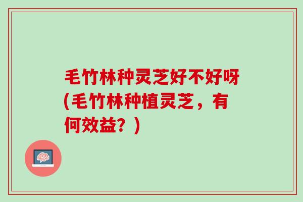 毛竹林种灵芝好不好呀(毛竹林种植灵芝，有何效益？)