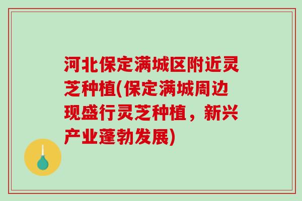河北保定满城区附近灵芝种植(保定满城周边现盛行灵芝种植,新兴产业蓬勃发展) 河北保定满城区附近灵芝种植(保定满城周边现盛行灵芝种植,新兴产业蓬勃发展)