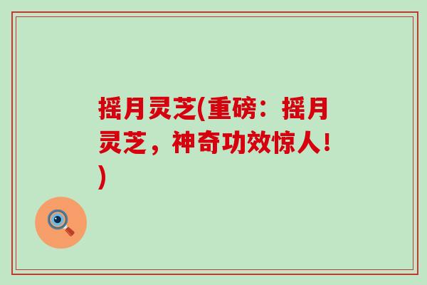摇月灵芝(重磅：摇月灵芝，神奇功效惊人！)