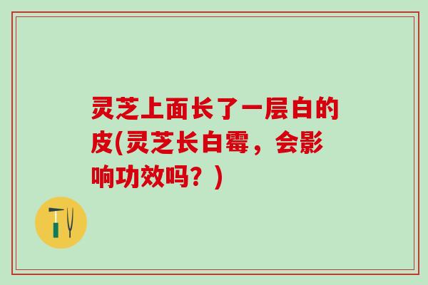 灵芝上面长了一层白的皮(灵芝长白霉，会影响功效吗？)