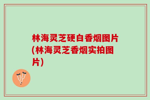 林海灵芝硬白香烟图片(林海灵芝香烟实拍图片)
