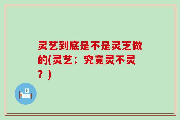 灵艺到底是不是灵芝做的(灵艺：究竟灵不灵？)