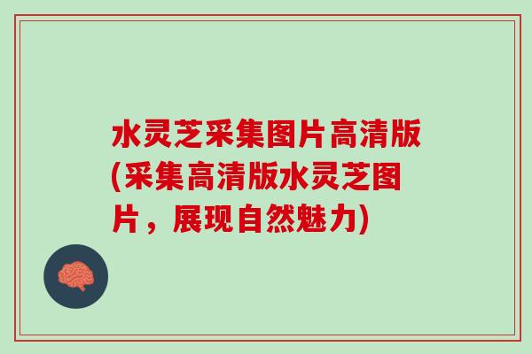 水灵芝采集图片高清版(采集高清版水灵芝图片，展现自然魅力)