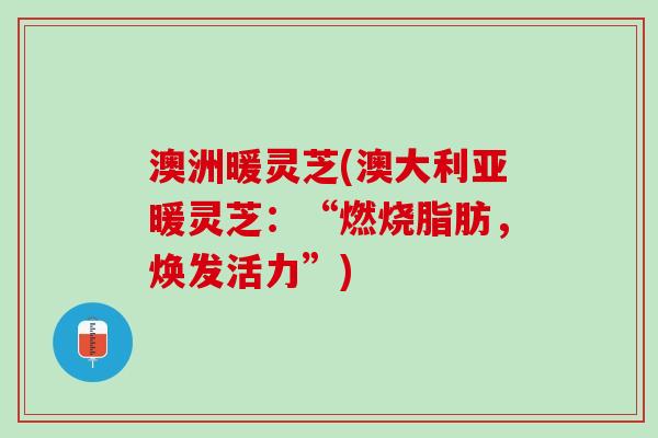 澳洲暖灵芝(澳大利亚暖灵芝：“燃烧脂肪，焕发活力”)