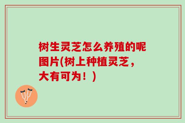 树生灵芝怎么养殖的呢图片(树上种植灵芝，大有可为！)