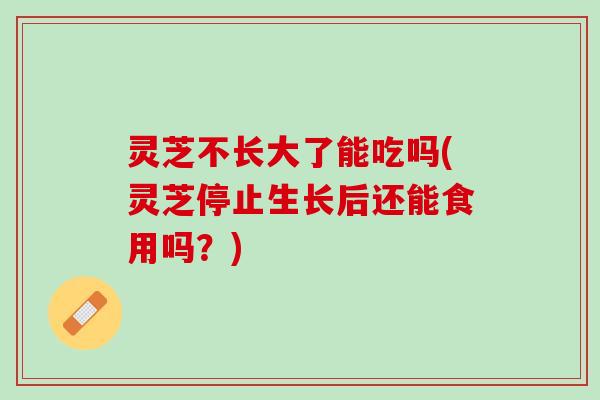 灵芝不长大了能吃吗(灵芝停止生长后还能食用吗？)