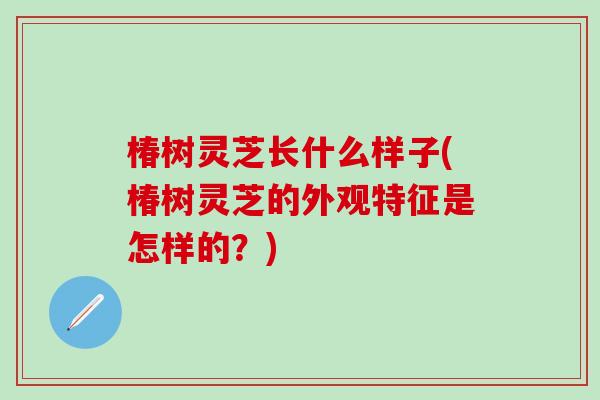 椿树灵芝长什么样子(椿树灵芝的外观特征是怎样的？)