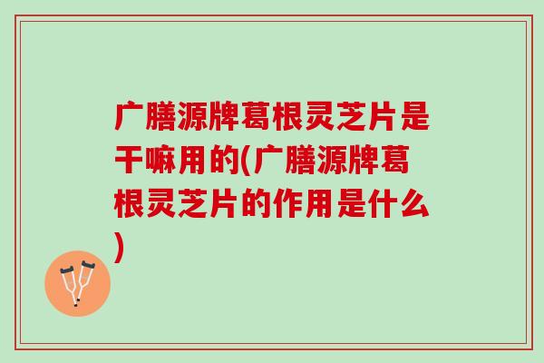 广膳源牌葛根灵芝片是干嘛用的(广膳源牌葛根灵芝片的作用是什么)