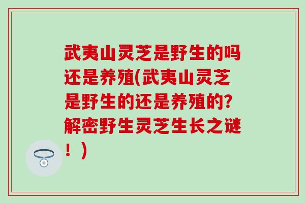 武夷山灵芝是野生的吗还是养殖(武夷山灵芝是野生的还是养殖的？解密野生灵芝生长之谜！)