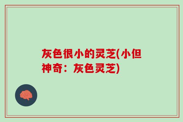 灰色很小的灵芝(小但神奇：灰色灵芝)
