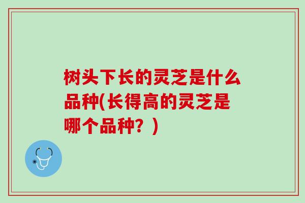 树头下长的灵芝是什么品种(长得高的灵芝是哪个品种？)