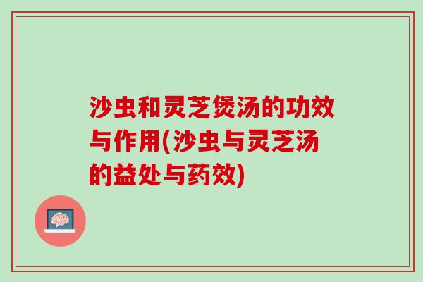 沙虫和灵芝煲汤的功效与作用(沙虫与灵芝汤的益处与药效)