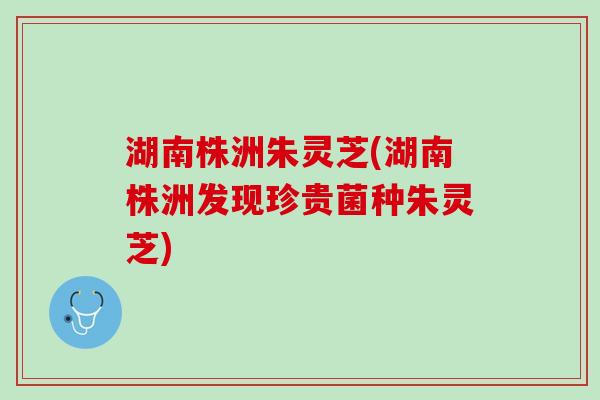 湖南株洲朱灵芝(湖南株洲发现珍贵菌种朱灵芝)