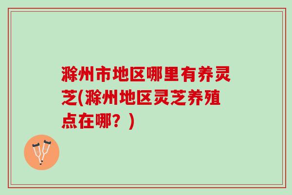 滁州市地区哪里有养灵芝(滁州地区灵芝养殖点在哪？)