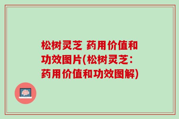 松树灵芝 药用价值和功效图片(松树灵芝:药用价值和功效图解) 松树灵芝 药用价值和功效图片(松树灵芝:药用价值和功效图解)