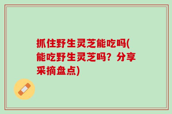 抓住野生灵芝能吃吗(能吃野生灵芝吗？分享采摘盘点)