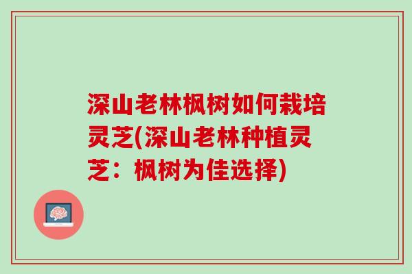 深山老林枫树如何栽培灵芝(深山老林种植灵芝：枫树为佳选择)