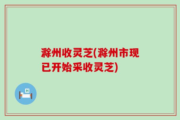 滁州收灵芝(滁州市现已开始采收灵芝)