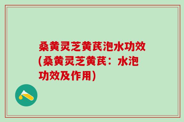 桑黄灵芝黄芪泡水功效(桑黄灵芝黄芪：水泡功效及作用)