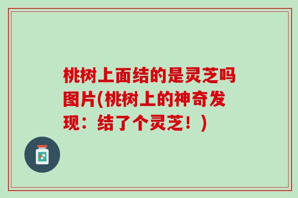 桃树上面结的是灵芝吗图片(桃树上的神奇发现：结了个灵芝！)
