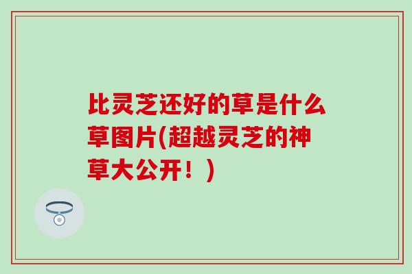 比灵芝还好的草是什么草图片(超越灵芝的神草大公开！)