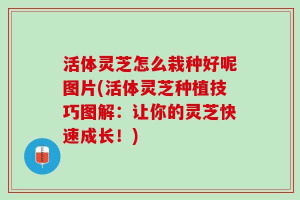 活体灵芝怎么栽种好呢图片(活体灵芝种植技巧图解：让你的灵芝快速成长！)